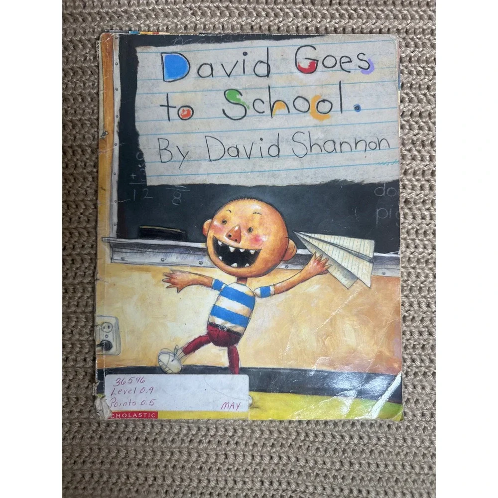 Kids Book Bundle of 4 Kindergarten Early Reader David Goes to School Mr Panda